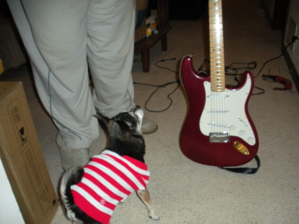 DSCN0911.jpg