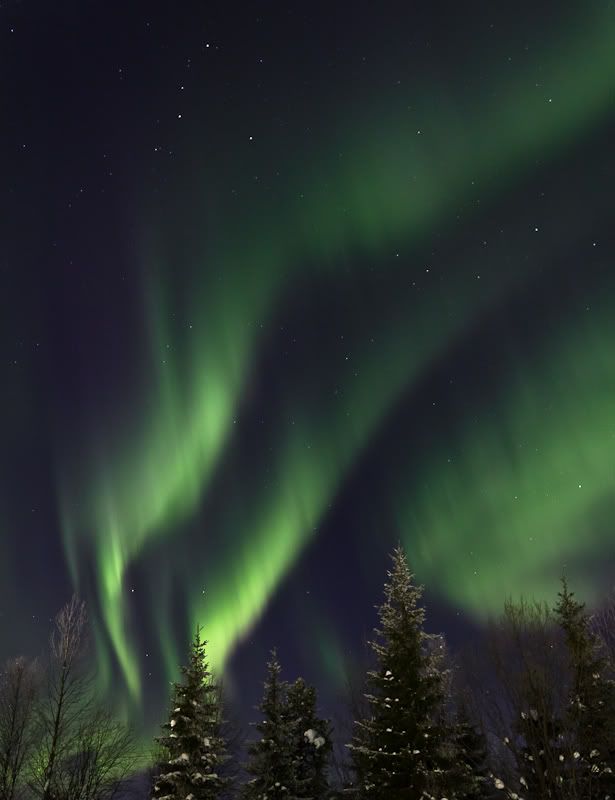 IMAGE: http://i39.photobucket.com/albums/e152/Antsu/Canon%20samples/Auroraborealis-1.jpg