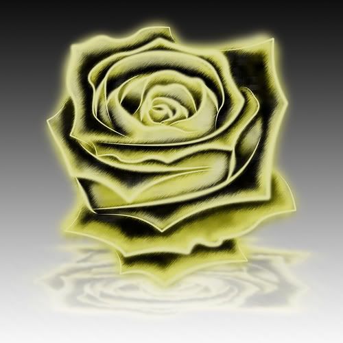 wallpaper yellow rose. Yellow Rose Wallpaper