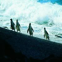 Rico, Kowalski, Private, Skipper, smile and wave boys, smile and wave...