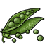  photo food_springveggie_peas_zps1b192c9a.gif