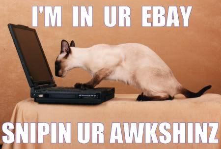 lol-cats_ebay-sniper.jpg