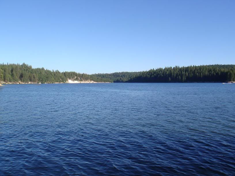 Lake Britton Performance Boats Forum