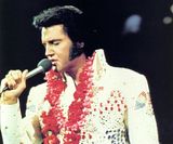 ELVIS-1.jpg ELVIS! image by N-ROD22