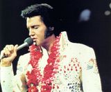 ELVIS.jpg ELVIS! image by N-ROD22