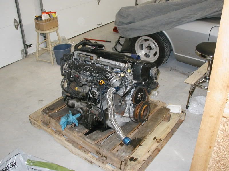P1010001.jpg