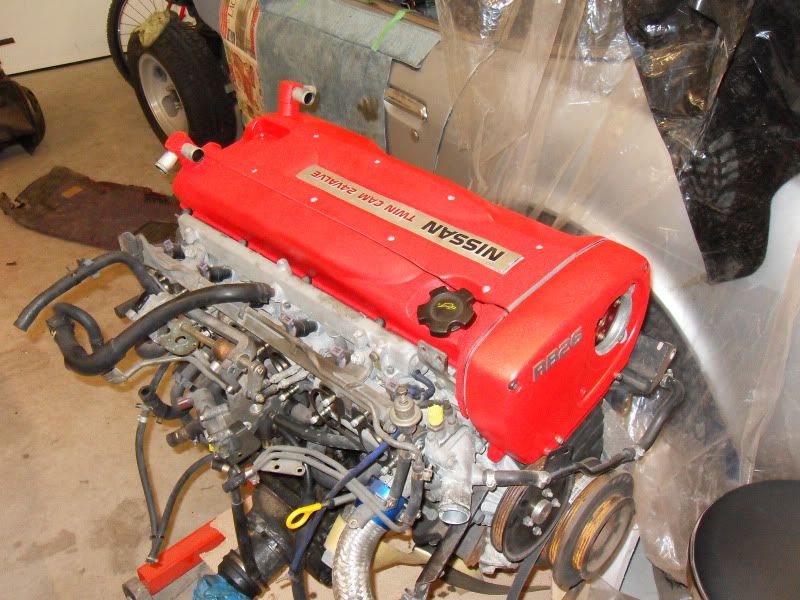 SDC10179.jpg