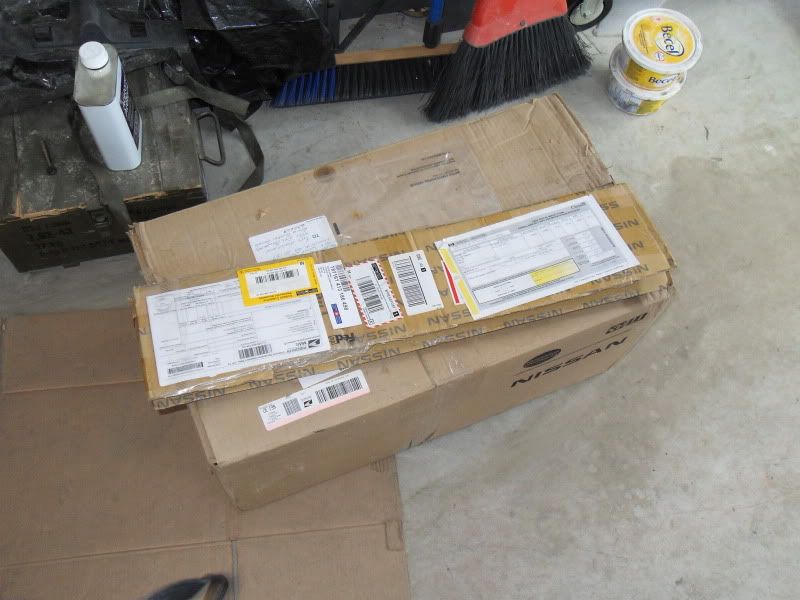 SDC11550.jpg