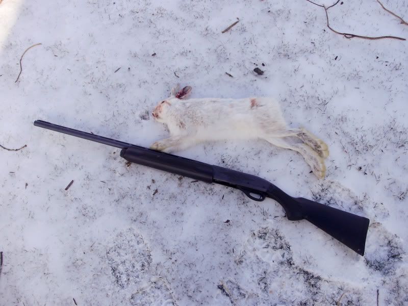 12 ga for grouse? The Outdoor Community