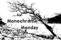 Monochrome Monday