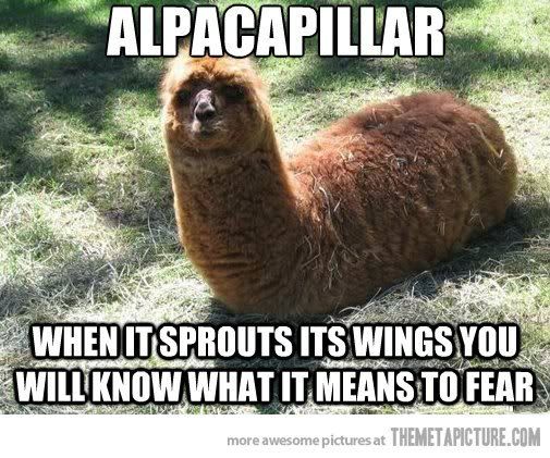 alpaca worm