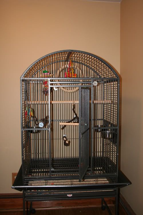 Sun Conure Cage