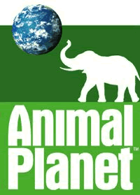 animal planet logo Pictures, Images and Photos