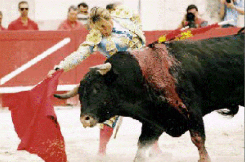 corrida6.gif