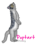 poptartcopy-1.png