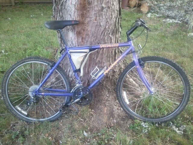 schwinn rockhopper