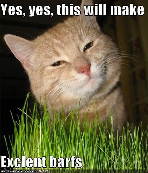 funny-pictures-yes-the-grass-will-m.jpg
