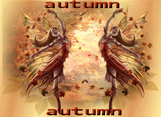 AUTUMN Pictures, Images and Photos