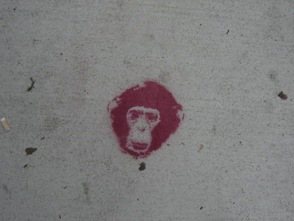 Red Ape
