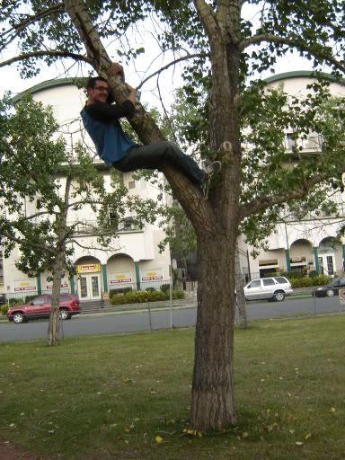 tree climbing