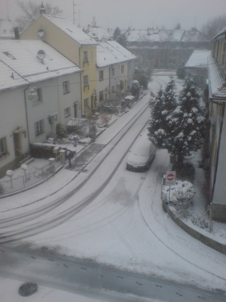 snow2010.jpg