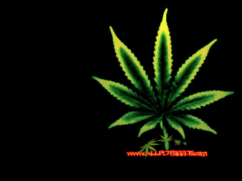 marijuana wallpaper. Dope Weed Wallpaper Desktop