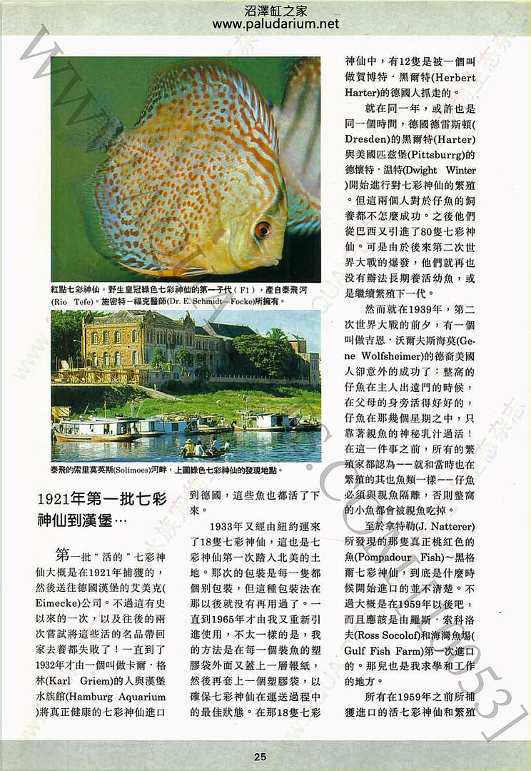 history of discus fish photo discus02_zps46c02ae8.jpg