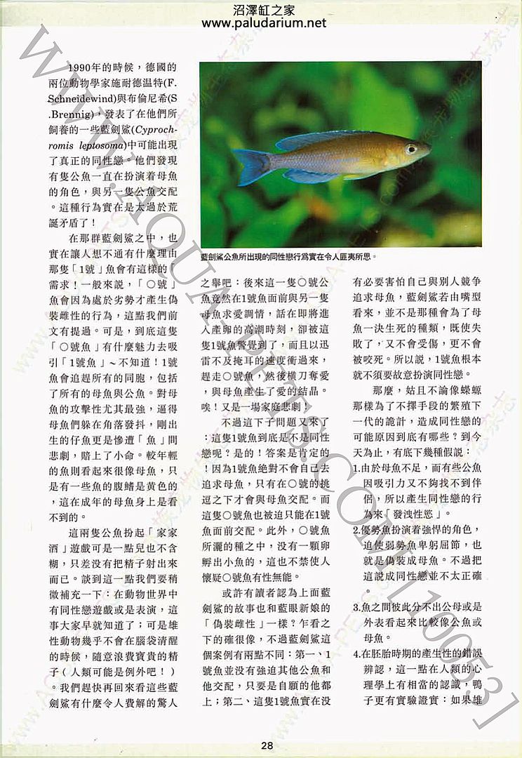 homosexuality of fish photo homo05_zpsda64b86f.jpg