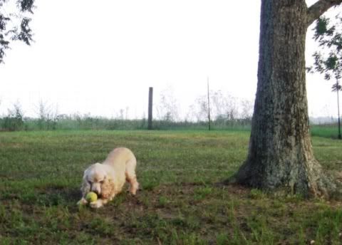 love you forever book pages. I#39;ll love you forever my