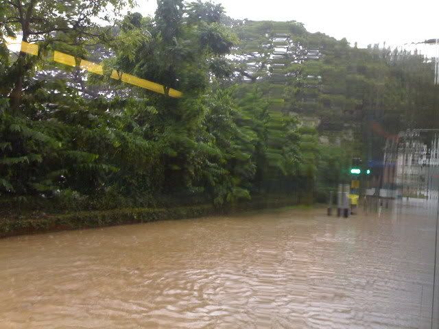 Flood 4