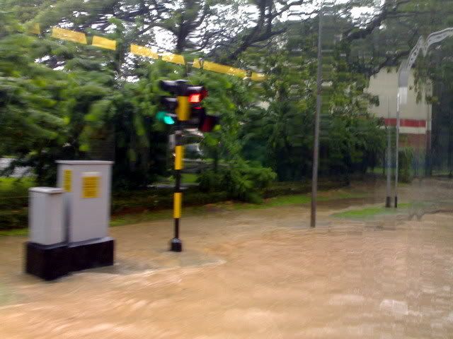 Flood 5