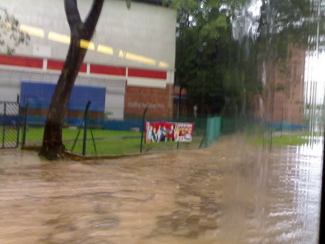 Flood 6