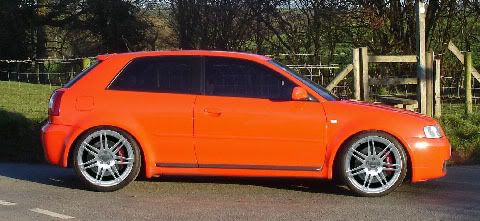 ds_MineonRS4scopy-2.jpg?