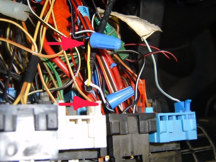 VWVortex.com - Auto to 5 speed wiring harness swappage?