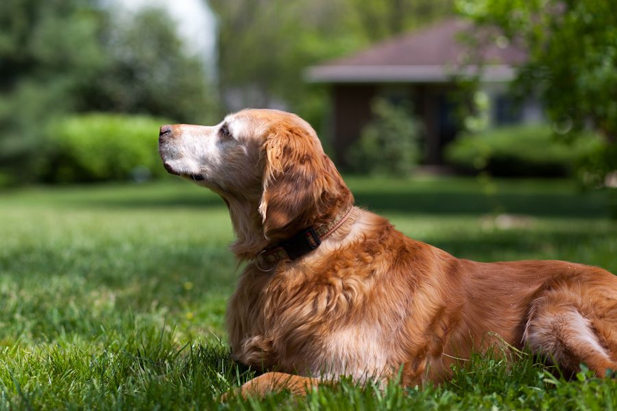 IMAGE: http://i39.photobucket.com/albums/e184/cdw95tt/WebSharing/web_5D2_20120427.jpg