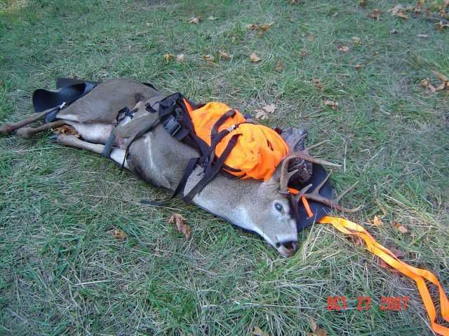 deer sled