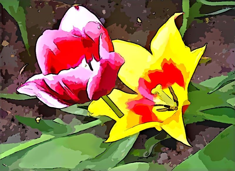 FotoSketcher-pink-and-yellow-flowers2.jpg