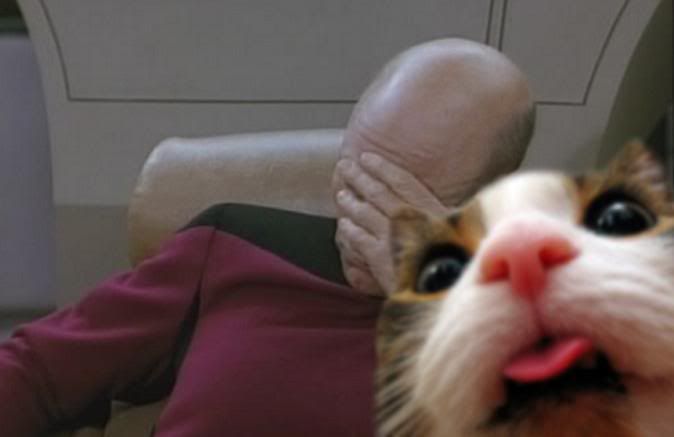Cat-Picard-02.jpg