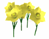 daffodils_swaying.gif