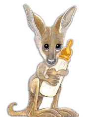 kangaroo_11.gif