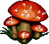 mushrooms.gif