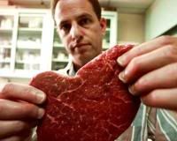 The Meat You Eat: How Corporate Farming Has Endangered Americas Food Supply