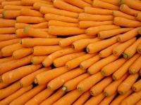 Carrots : The Master Key For Healthy Living!