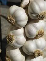 Garlic - Join Me And I´ll Show You Why Garlic Can Save Your Life