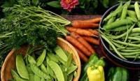 Organic Food - The Benefits Of Natural And Organic Produce