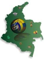 Cheap Calls to Columbia: Frequent Price Changes