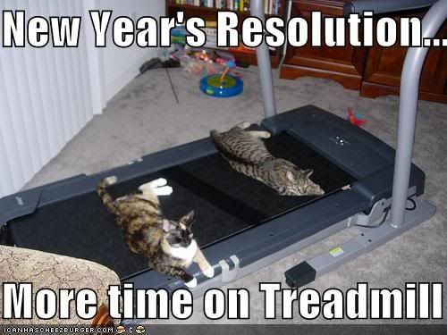funny new year resolutions. new year#39;s resolutions!