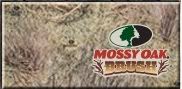 MossyBrush.jpg