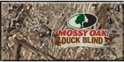 MossyDuck.jpg