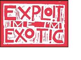 exploit.jpg image by perlrocks